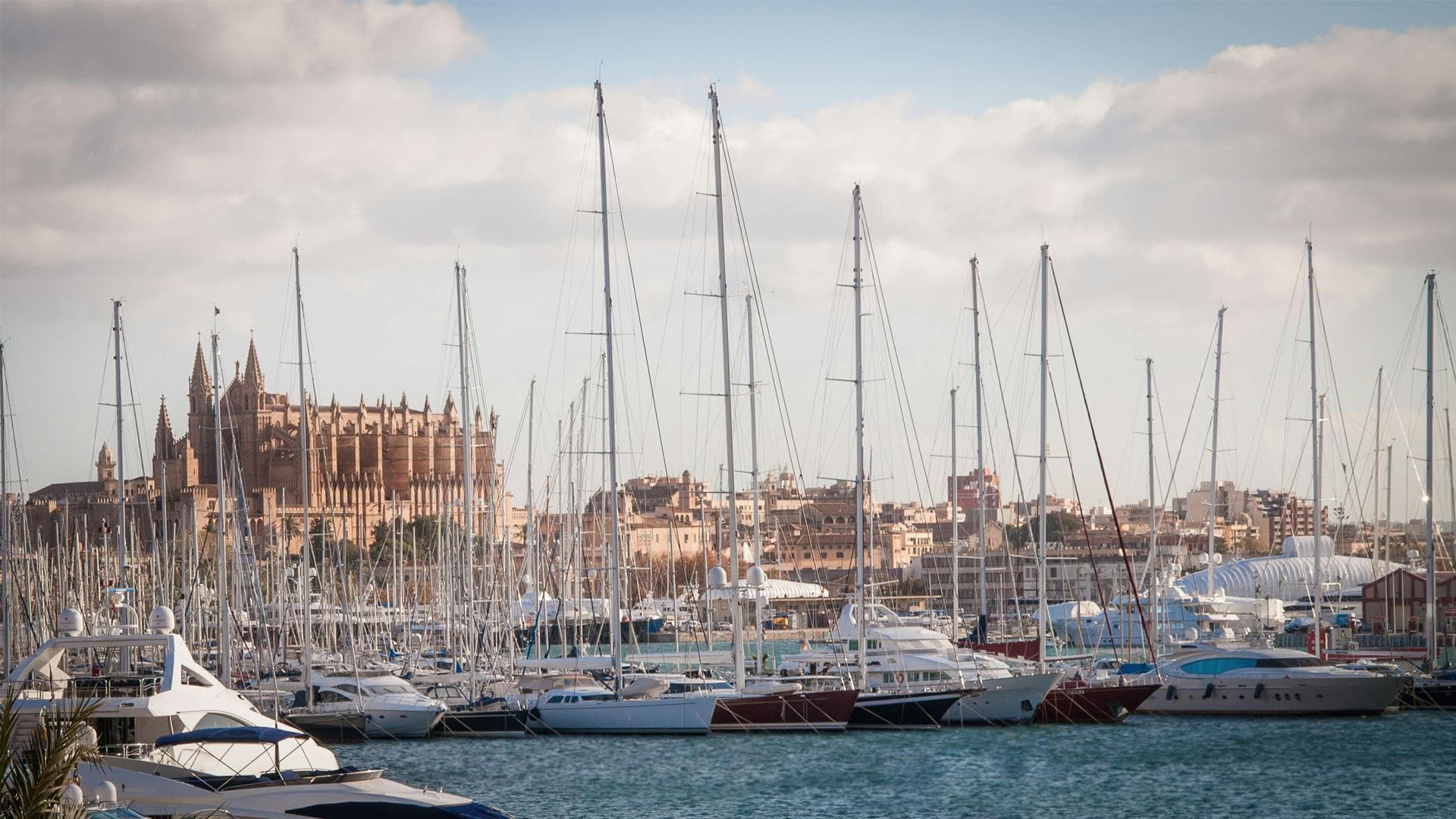 Des voiliers dans la marina du port de Palma de Mallorca