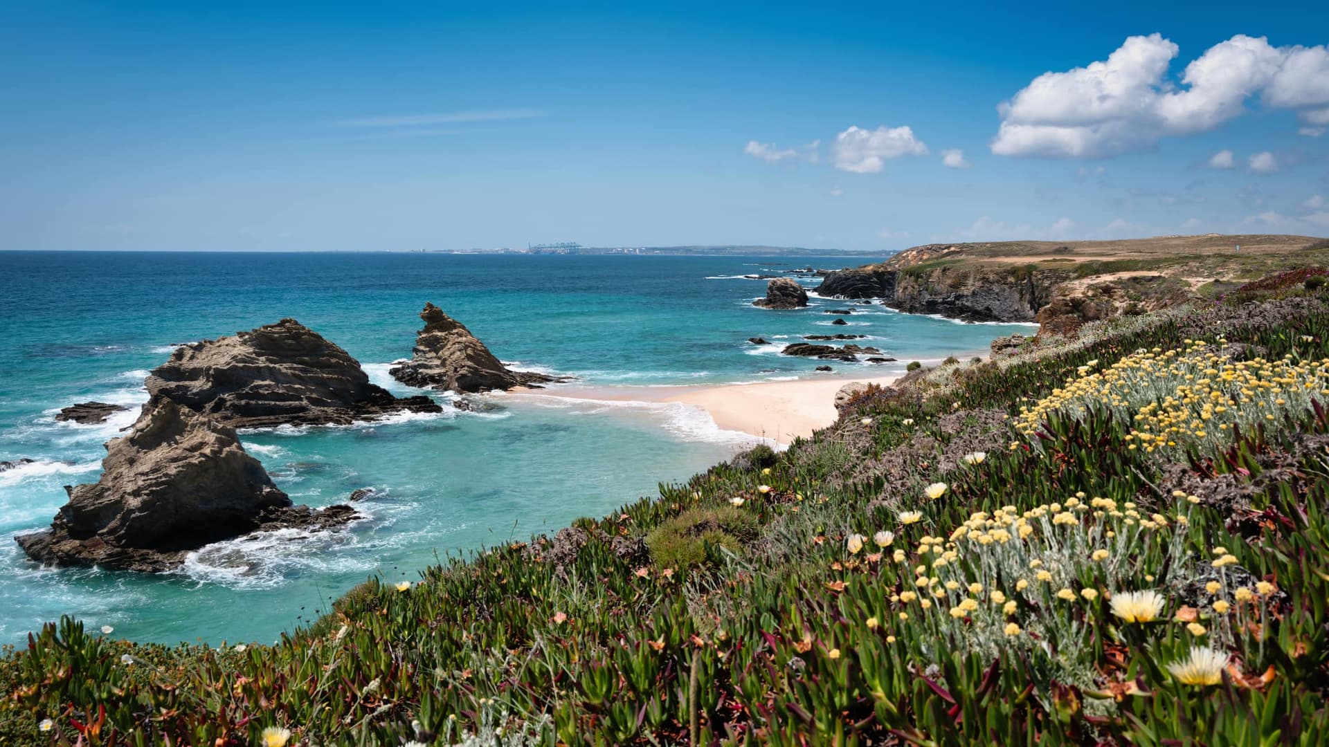 Wildblumen an den Klippen der Alentejo-Küste mit Blick auf einen einsamen Strand und Atlantikfelsen in Portugal