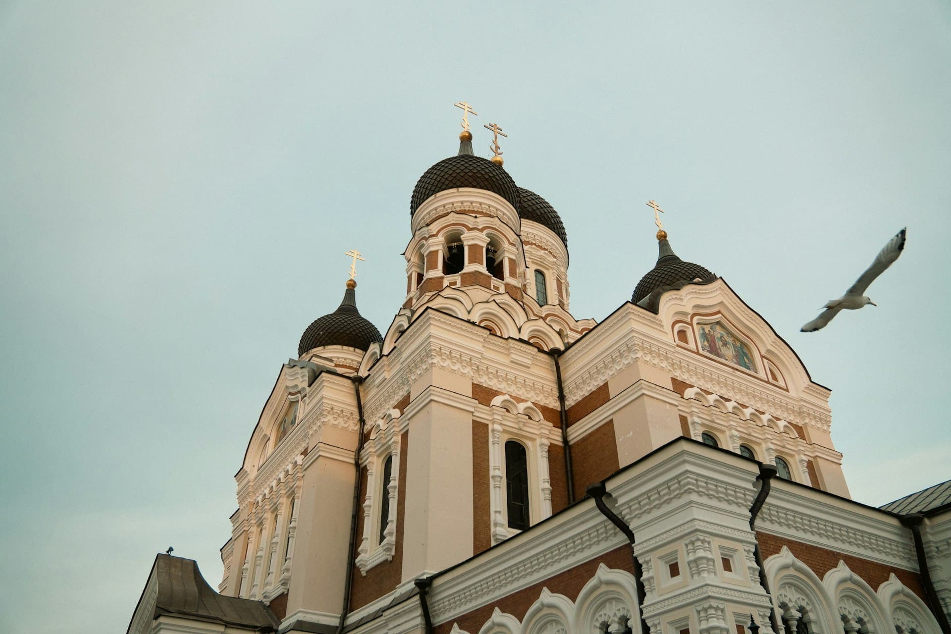 Viking Line Summer Sales: Up to 50% on Helsinki – Tallinn Route