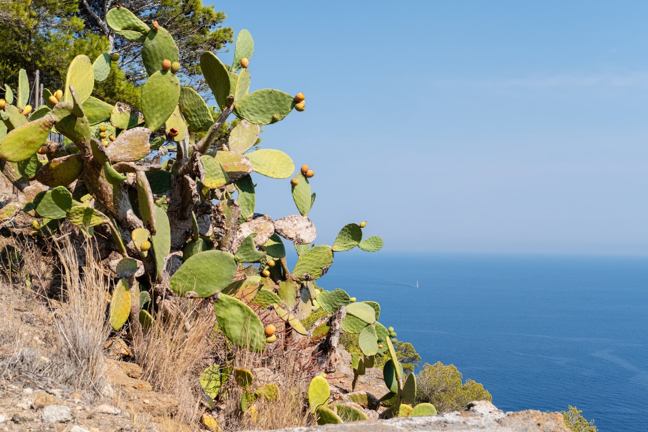 Isole minori italiane a fine estate: 4 mete poco conosciute